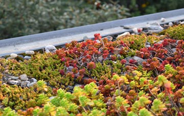 the cost of Lidget green roof installation