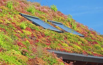 Lidget living roof systems