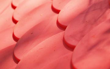 Lidget plastic roof costs