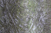 Lidget fibreglass roof work